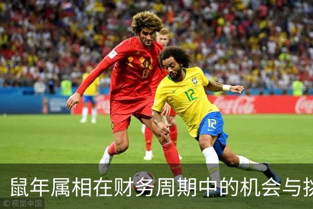 鼠年属相在财务周期中的机会与挑战